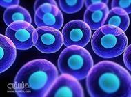 پاورپوینت علوم چهارم درس 9 : بدن ما، انواع سلول ها